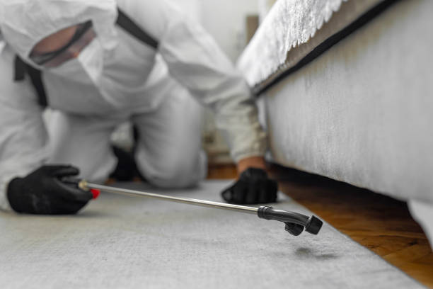 Professional Termite Control technician working in Roebling, NJ