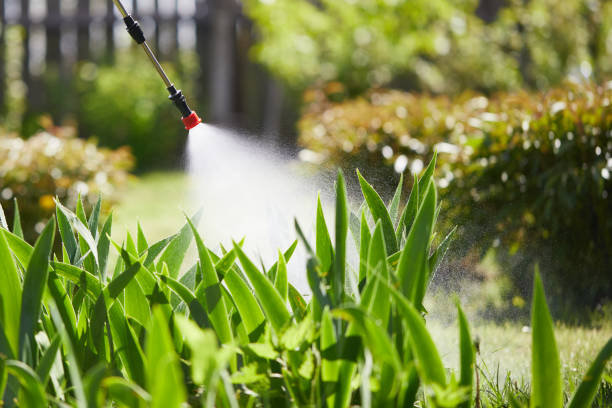 24/7 Emergency Termite Control experts in Roebling, NJ